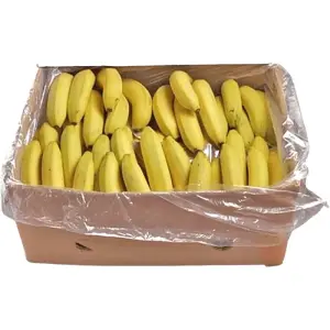 Banana Box Philippines
