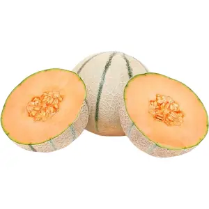 Rock Melon