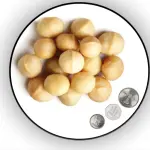 Sale Macadamia Nuts Without Shell