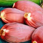 Banana Blossom Flower