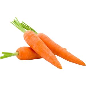 Carrot