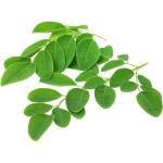 Drumstick Leaves (Moringa Leaves)