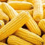 Sweet Corn
