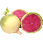 Watermelon Radish