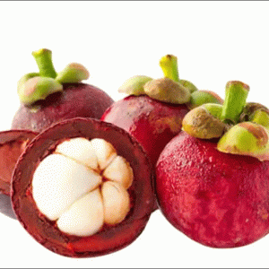 Mangosteen Indonesia