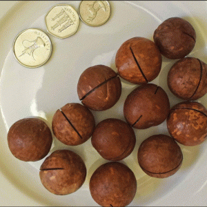 Macadamia Nuts