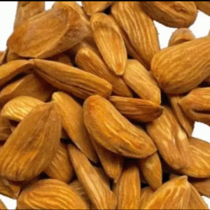 Almond Uzbekistan