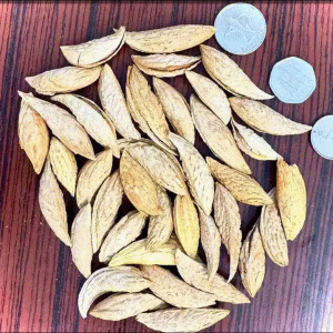 Mamra Almond In Shell Organic
