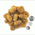 Dried Mulberries