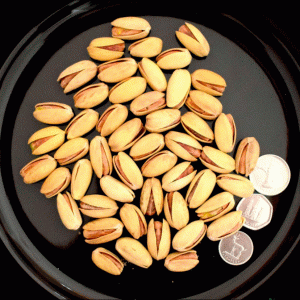 Pistachio Nuts Shell Large