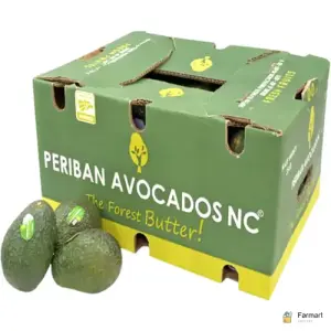Avocado Periban Box Mexico