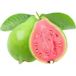 Guava Red Vietnam