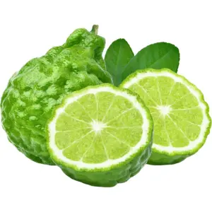 Kaffir Lime