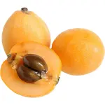 Loquat – Japanese Plum