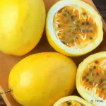 Passion Fruit Granadilla