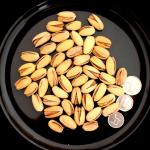 Pistachio Nuts Shell Large