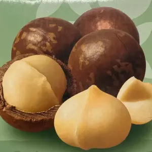 Macadamia Chocolate Flavor