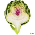 Artichoke