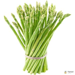 Asparagus Green Thailand