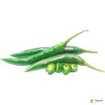Bird Chilli Green Thailand