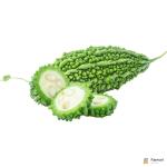Bitter Gourd