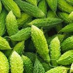 Bitter Gourd