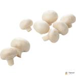 Button Mushroom White
