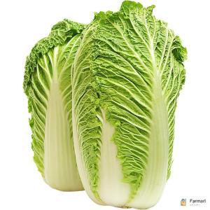 Cabbage Chinese