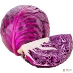 Cabbage Red
