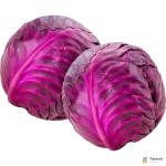 Cabbage Red