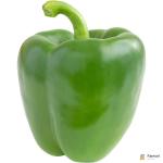 Capsicum Green