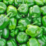 Capsicum Green