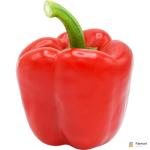 Capsicum Red