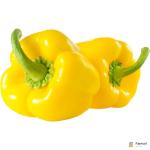 Capsicum Yellow