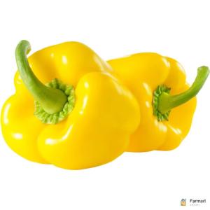 Capsicum Yellow