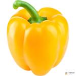 Capsicum Yellow