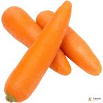 Carrot China