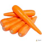 Carrot China