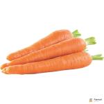 Carrot