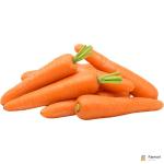 Carrot
