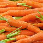 Carrot