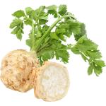 Celery Root