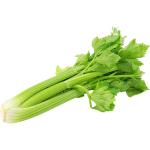 Celery