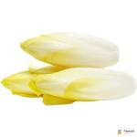 Chicory White