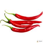 Chili Red Long