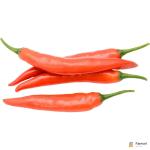 Chili Red Long
