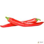 Chili Red Long