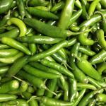 Chili Serrano
