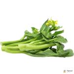 Choy Sum