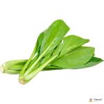 Choy Sum